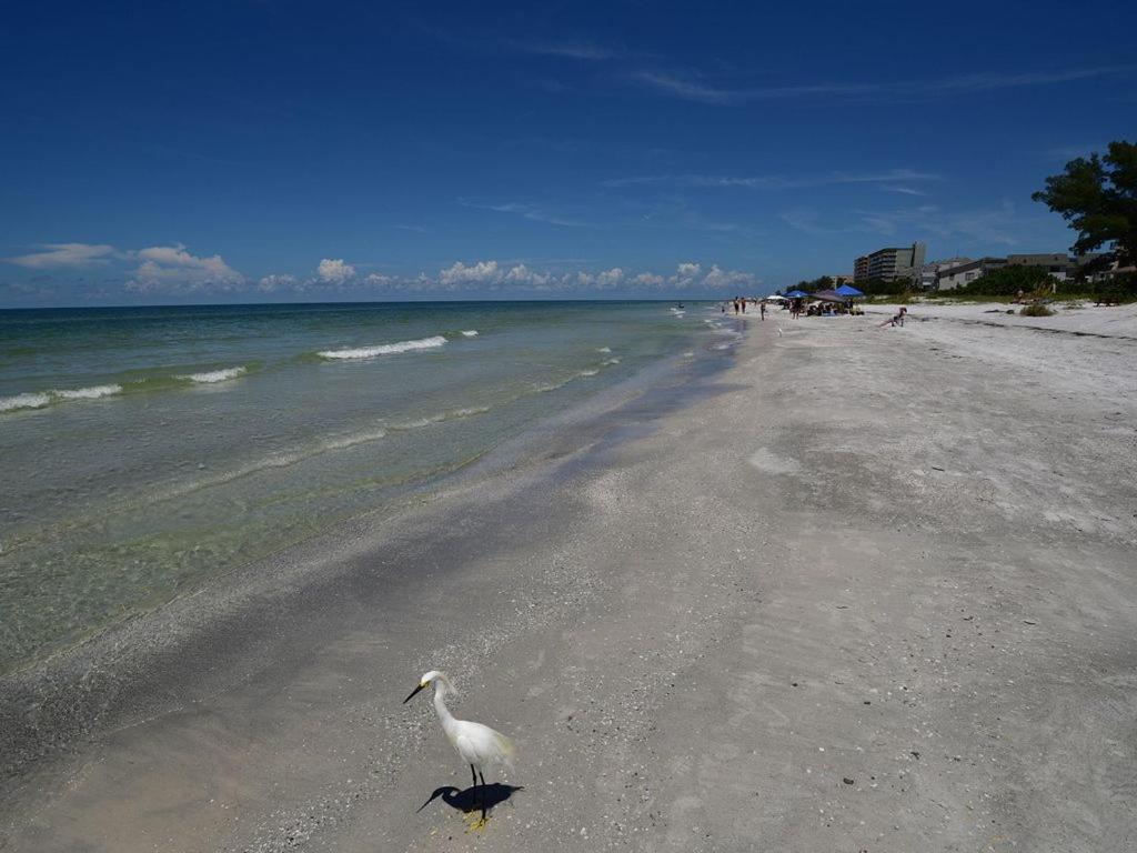 Gulf Retreat 2: Magnificent Water Views, Steps To Beach, None Cleaner, None Nicer! Clearwater Beach Exteriér fotografie